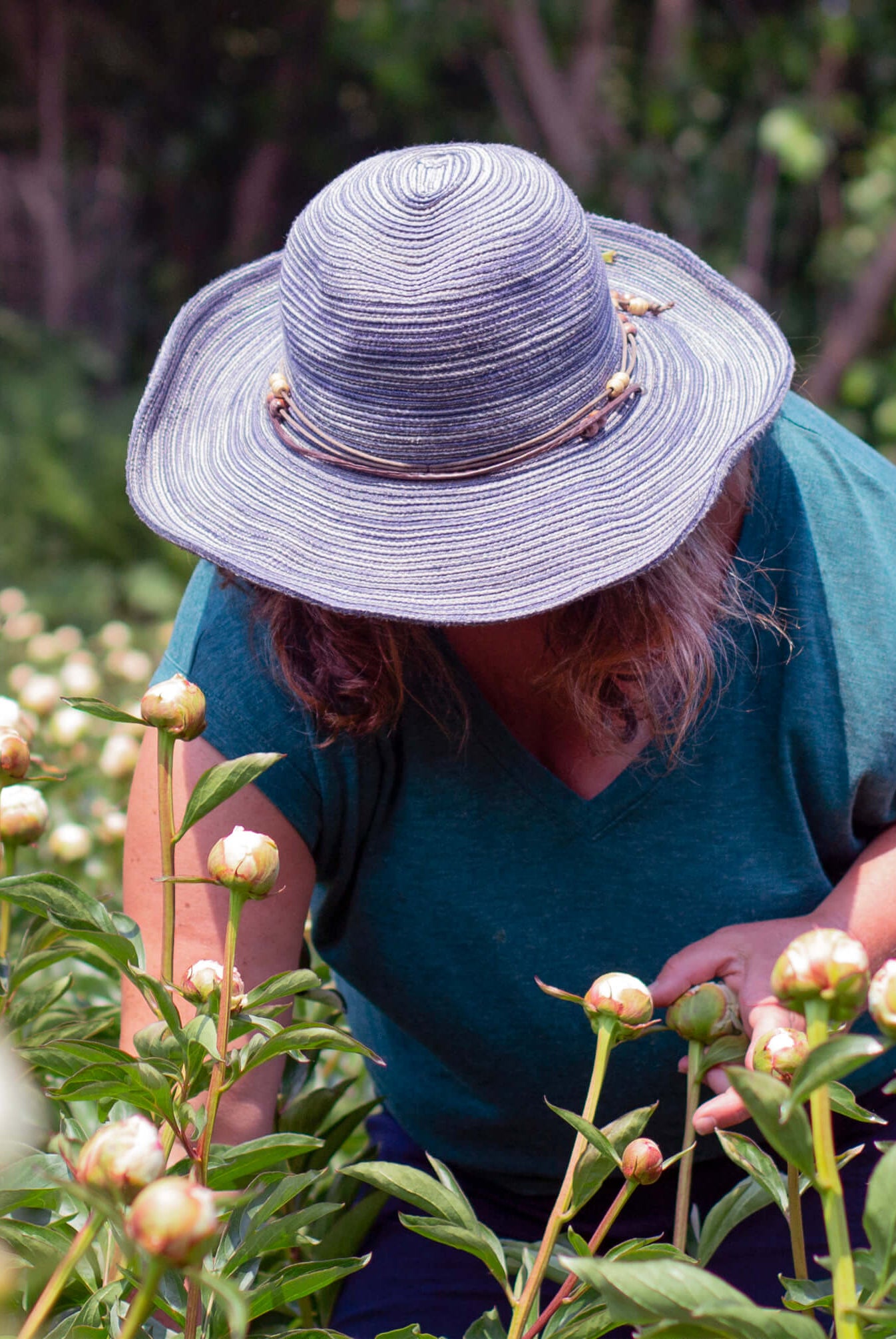 2025 Farm Tours-Event-Alaska Beauty Peony Coop-June 21-Alaska Beauty Peony Coop