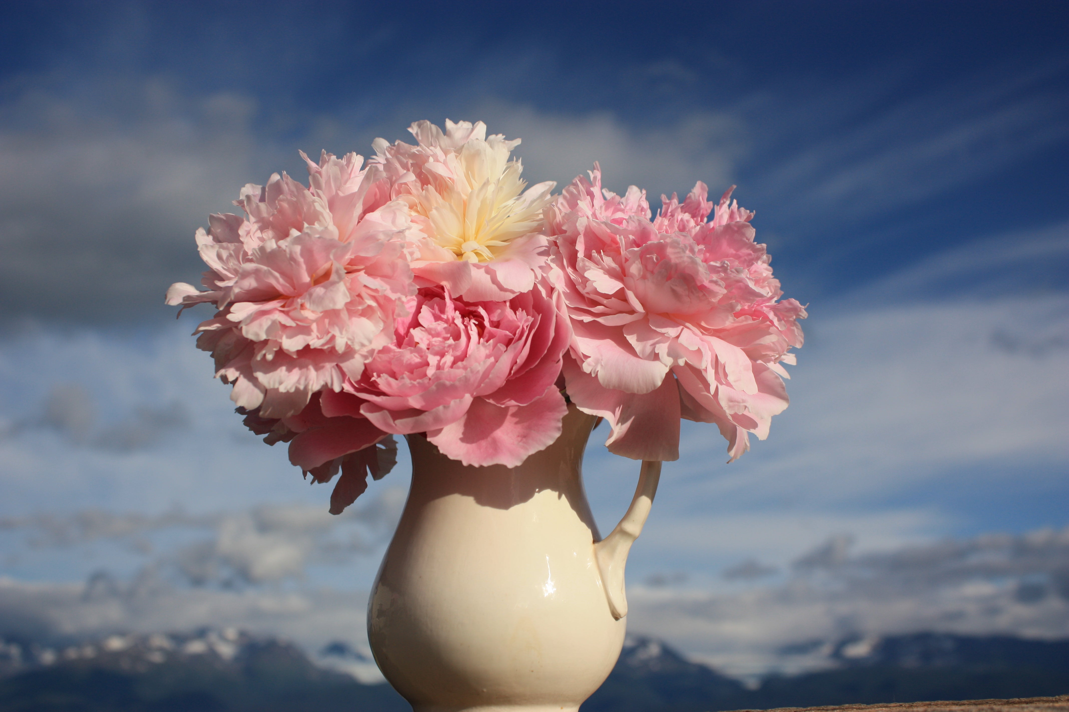 Pastel Petites - 50 Stems