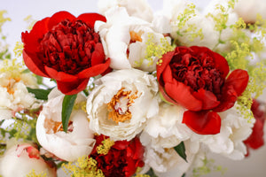 
                  
                    Load image into Gallery viewer, Late Summer Dream - 13 Stems
                  
                
