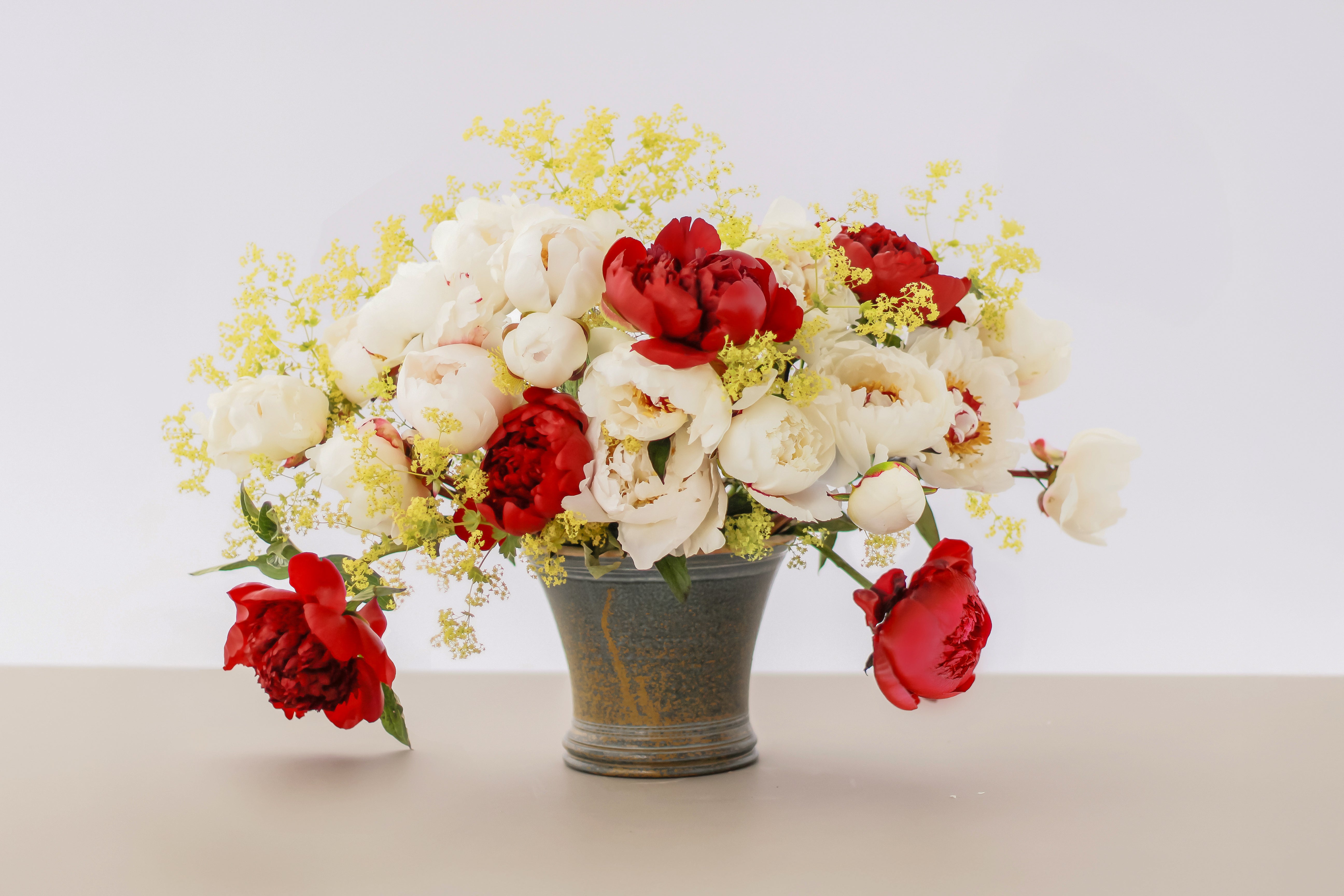 Late Summer Dream - 13 Stems