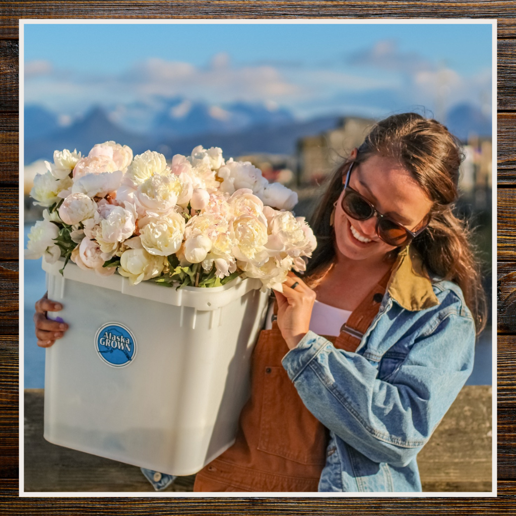 About Us | Alaska Beauty Peony Cooperative | Homer, AK