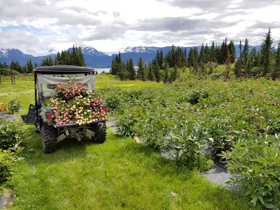 
                  
                    Load image into Gallery viewer, 2025 Farm Tours
                  
                