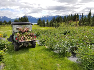 
                  
                    Load image into Gallery viewer, 2025 Farm Tours
                  
                