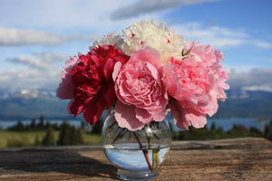 
                  
                    Load image into Gallery viewer, Alaska Mix - 13 Stems
                  
                