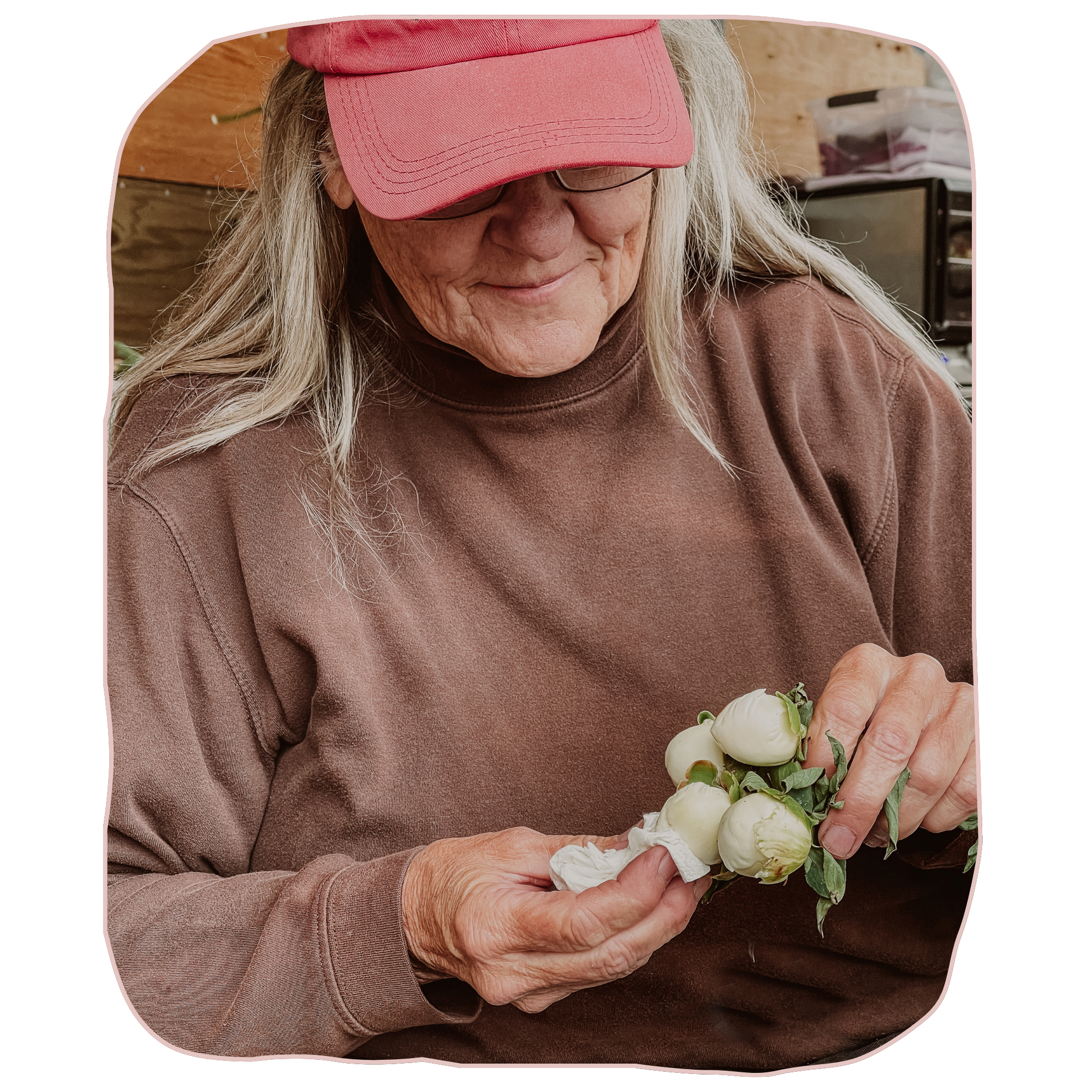 Person wearing a pink cap and brown sweater holding white flowers Sustainability Farming | Alaska Beauty Peony Cooperative | Homer, AK