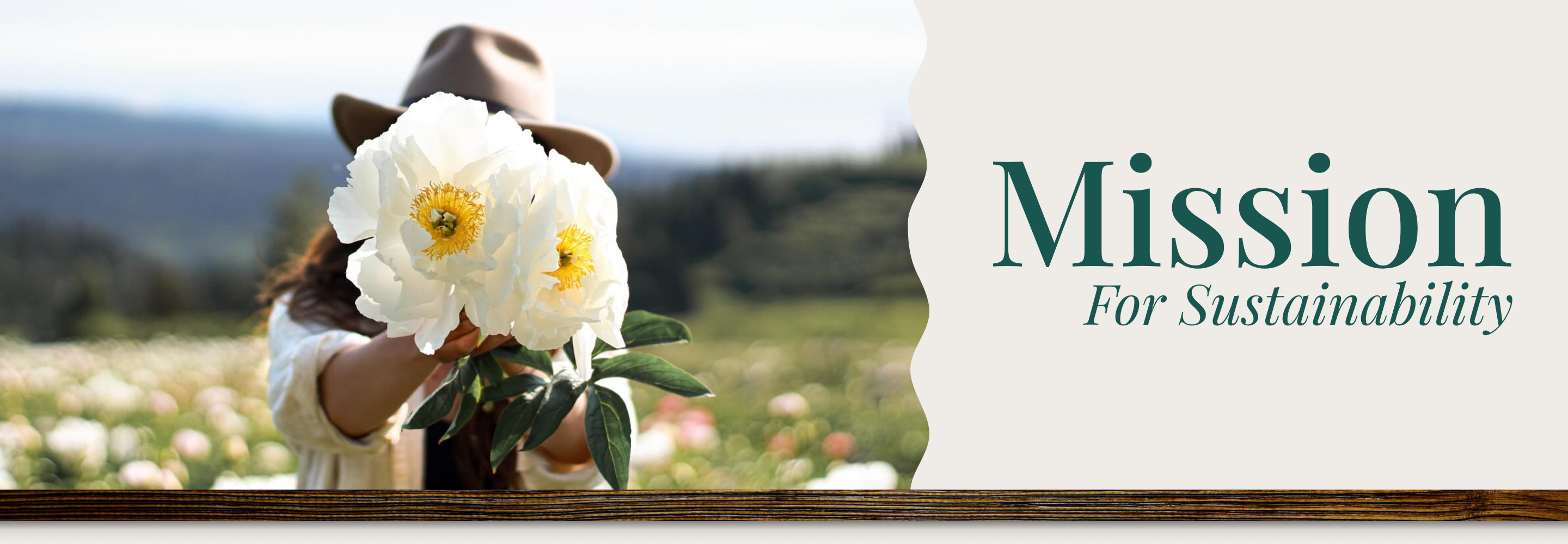 Person holding white flowers with a scenic background and 'Mission For Sustainability' text | Alaska Beauty Peony Cooperative | Homer, AK