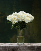 Duchesse de Nemours Peony Box - 25 Stems