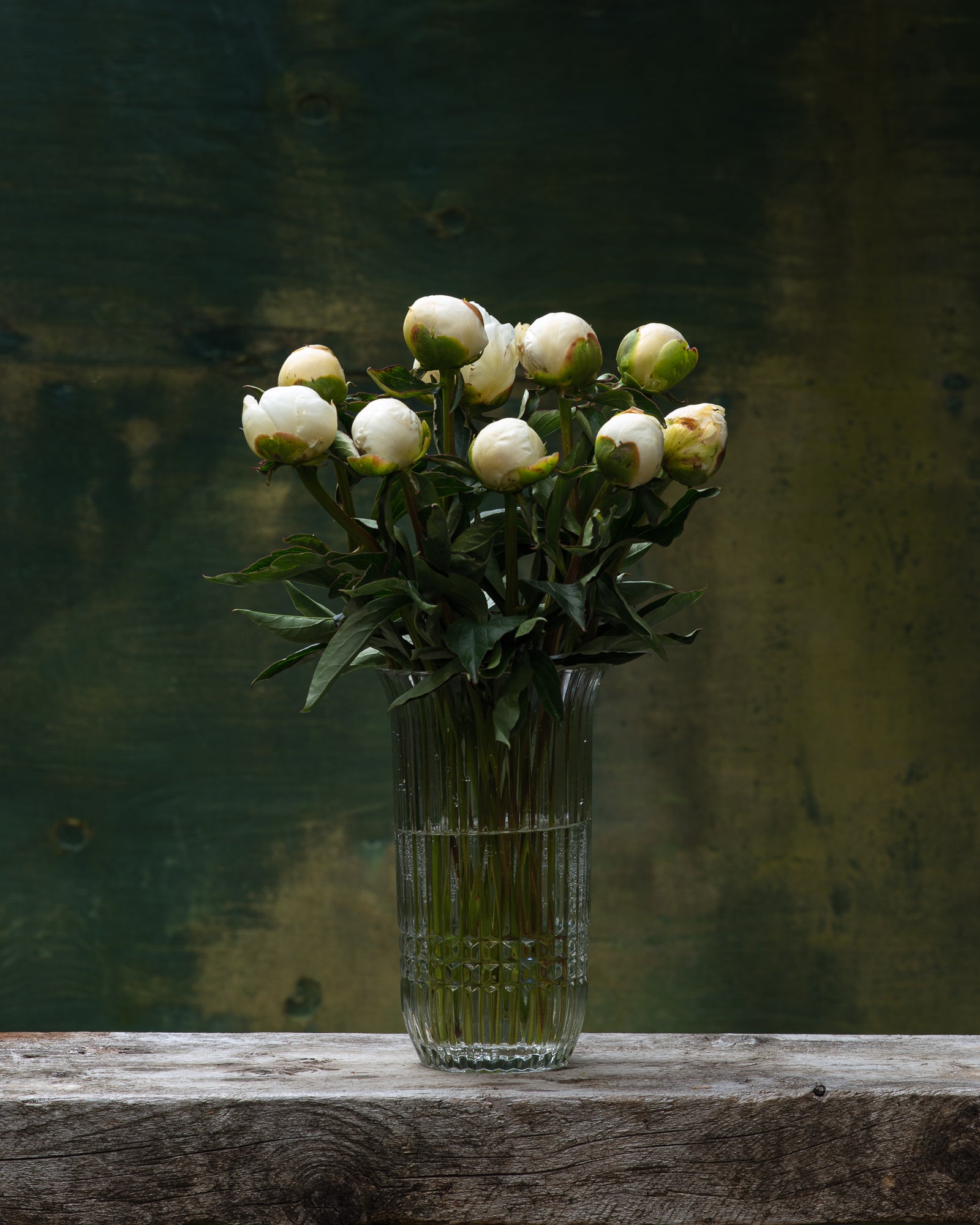Duchesse de Nemours Peony Box - 25 Stems
