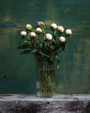 
                  
                    Load image into Gallery viewer, Blush Peony Box
                  
                