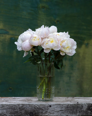 
                  
                    Load image into Gallery viewer, Blush Peony Box
                  
                